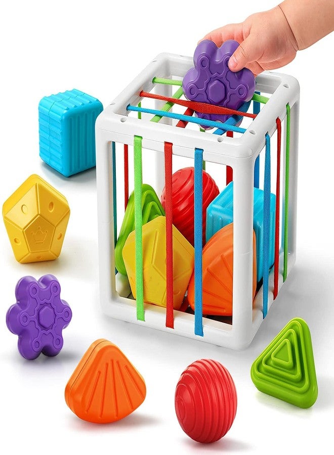 HELLYZ Shape Sorter Baby Toys for 12-18 Months | Montessori Learning Developmental Toys with Storage Cube & 6 Sensory Shape Blocks | Educational Gifts for Toddlers Age 1 2 3, Multicolor - Image 1